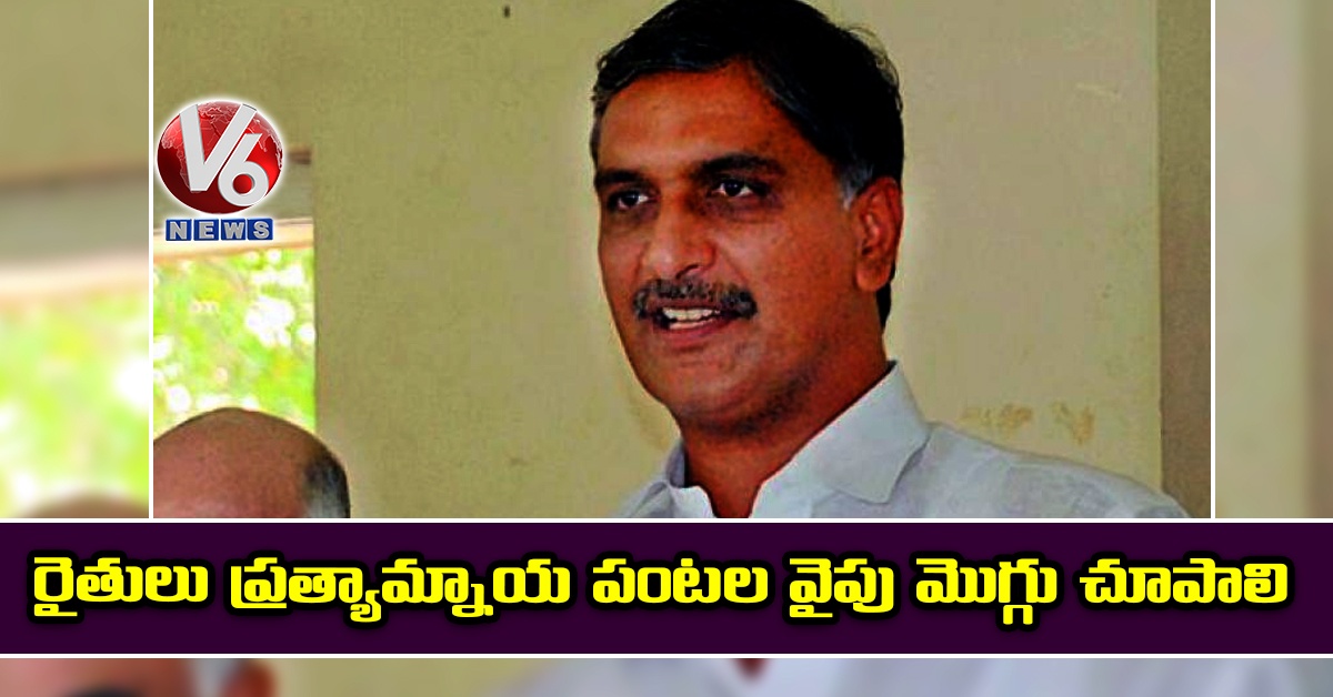 రైతులు ప్రత్యామ్నాయ పంటల వైపు మొగ్గు చూపాలి