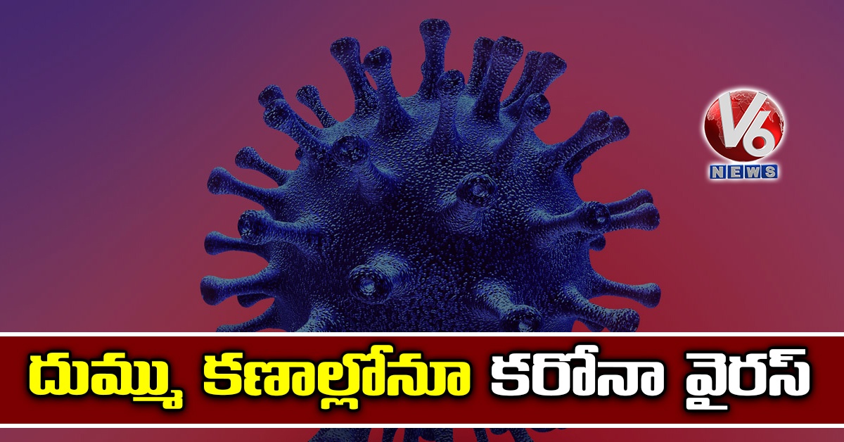 దుమ్ము కణాల్లోనూ కరోనా వైరస్