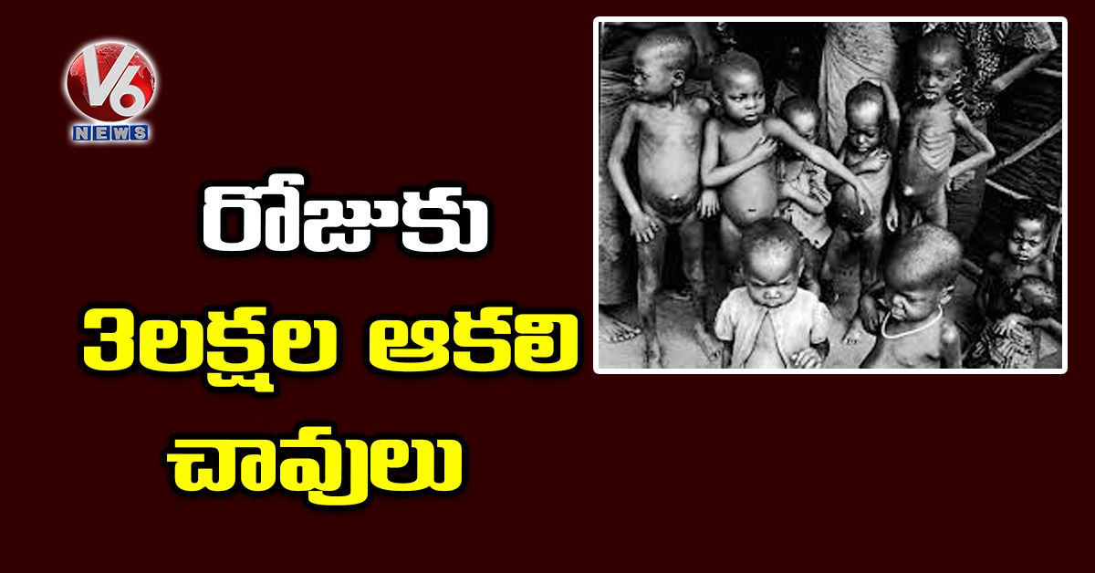 రోజుకు 3 లక్షల ఆకలి చావులు!