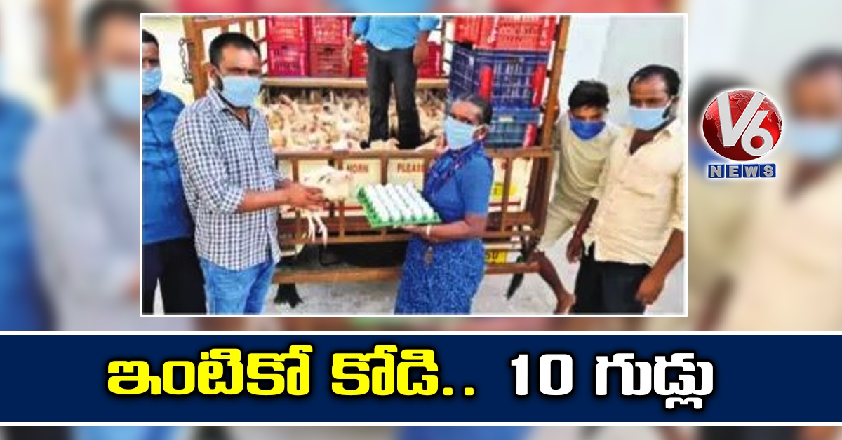 ఇంటికో కోడి.. 10 గుడ్లు