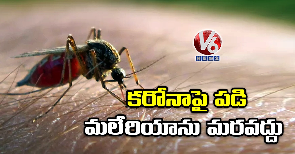 కరోనాపై పడి మలేరియాను మరవద్దు