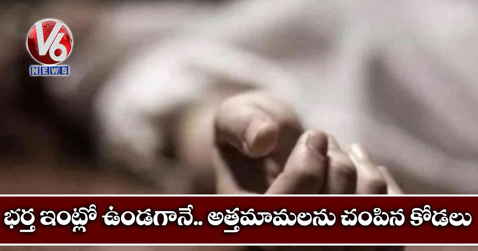 భర్త ఇంట్లో ఉండగానే.. అత్తమామలను చంపిన కోడలు