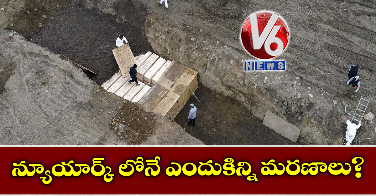 న్యూయార్క్ లోనే ఎందుకిన్ని మరణాలు?