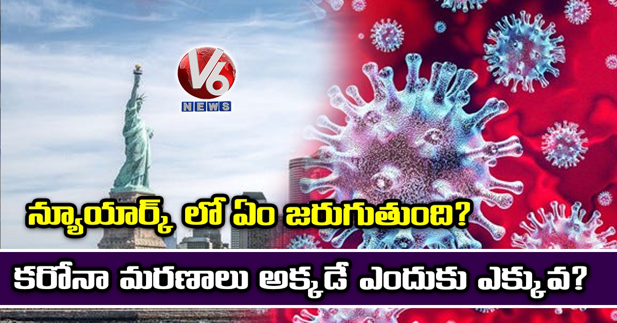 న్యూయార్క్ లో ఏం జరుగుతుంది? కరోనా మరణాలు అక్కడే ఎందుకు ఎక్కువ?