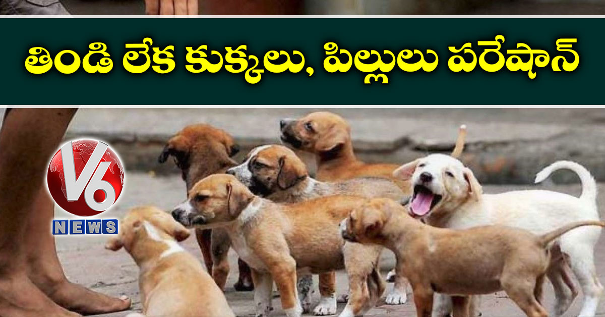 తిండి లేక కుక్కలు, పిల్లులు పరేషాన్