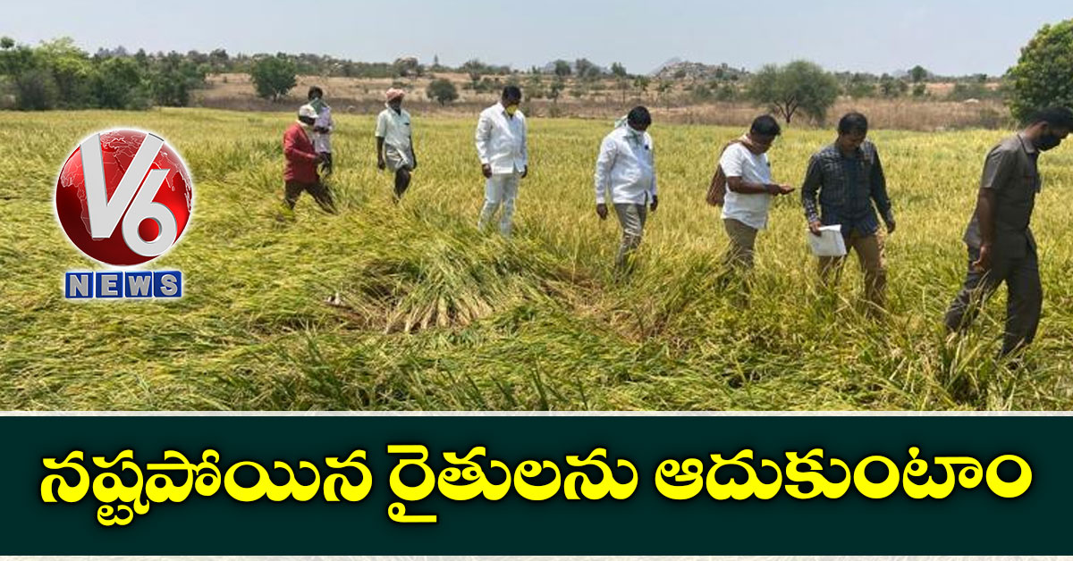 నష్టపోయిన రైతులను ఆదుకుంటాం