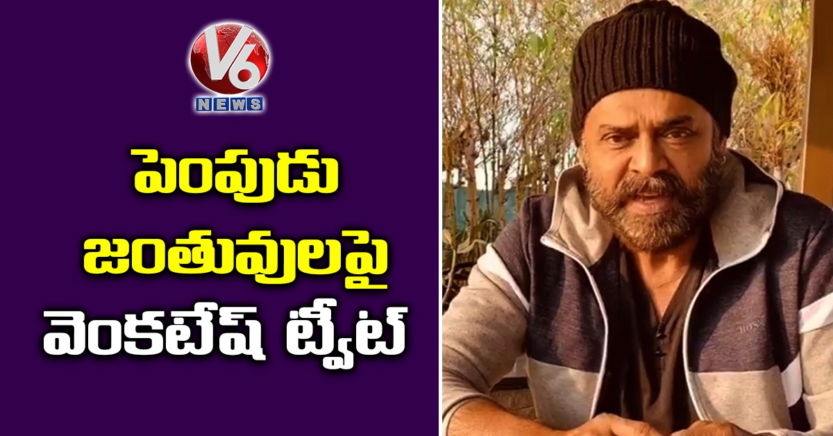 పెంపుడు జంతువులపై వెంకటేష్ ట్వీట్