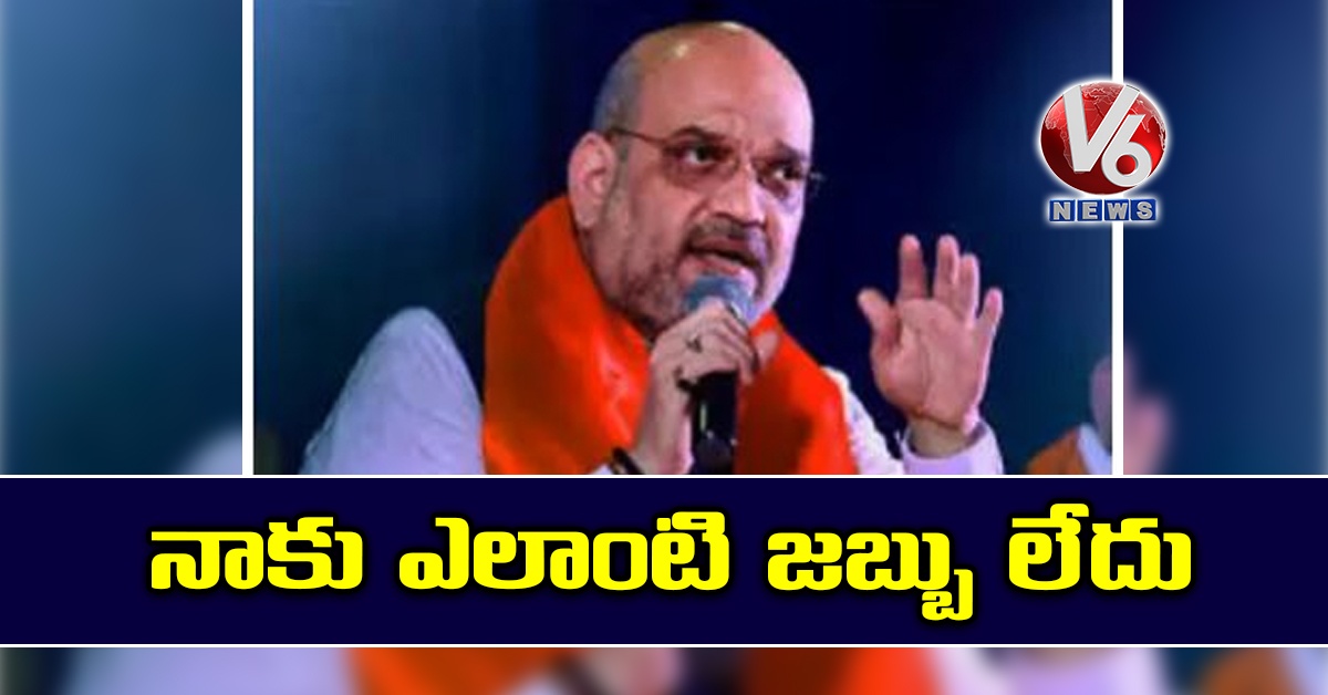 నాకు ఎలాంటి జబ్బు లేదు: అమిత్ షా