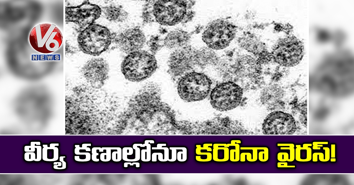 వీర్య కణాల్లోనూ కరోనా వైరస్ !