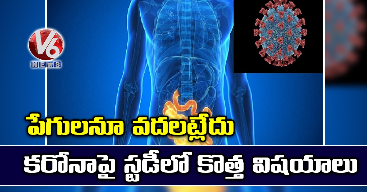 పేగులనూ వదలట్లేదు: కరోనాపై స్టడీలో కొత్త విషయాలు