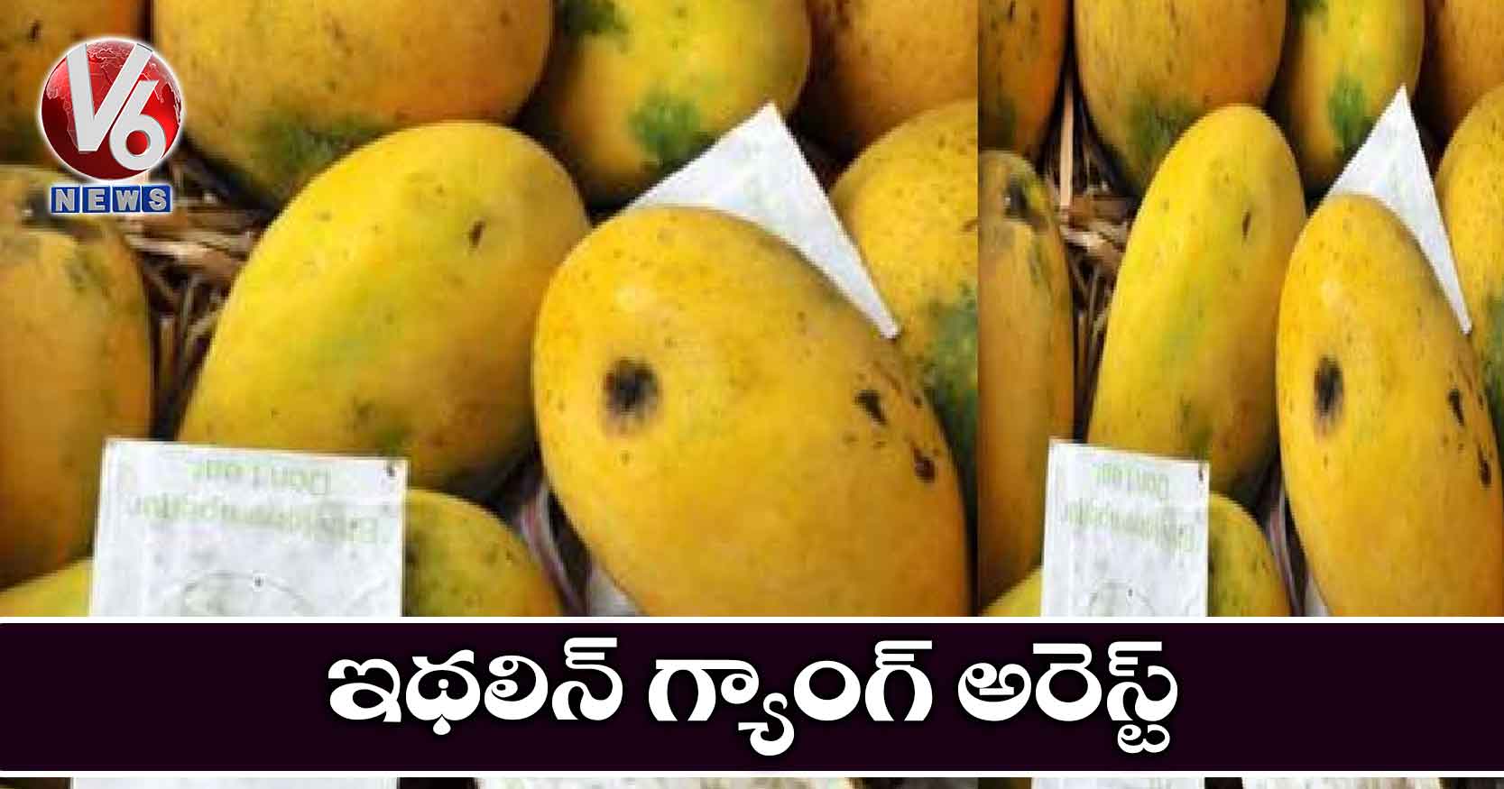 ఇథలిన్ గ్యాంగ్ అరెస్ట్