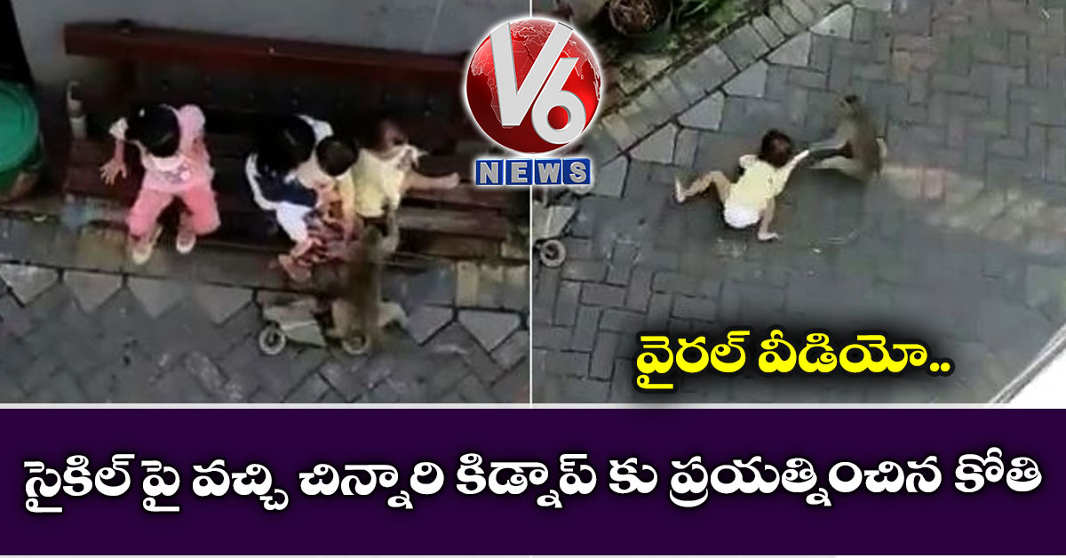 వైరల్: సైకిల్ పై వచ్చి చిన్నారి కిడ్నాప్ కు ప్రయత్నించిన కోతి