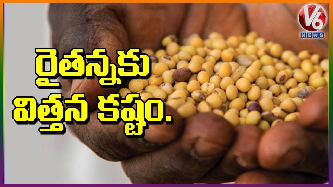 Nizamabad Farmers Facing Problems With Soya Seed Shortage This Season