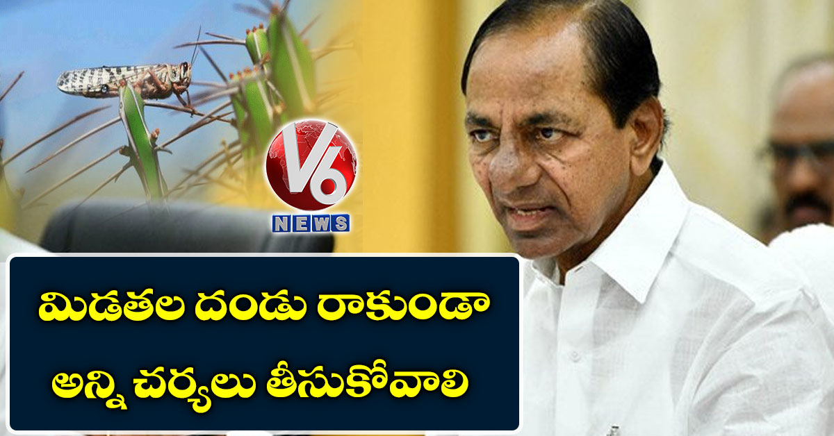 మిడతల దండు రాకుండా అన్ని చర్యలు తీసుకోవాలి: CM KCR