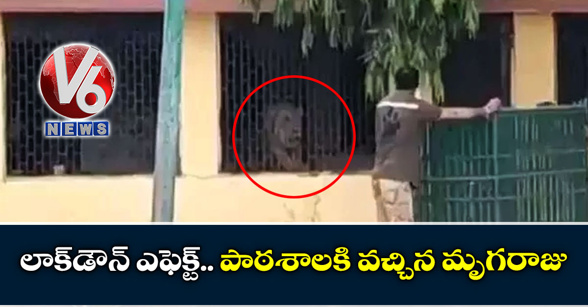 లాక్డౌన్ ఎఫెక్ట్.. పాఠశాలకి వచ్చిన మృగరాజు