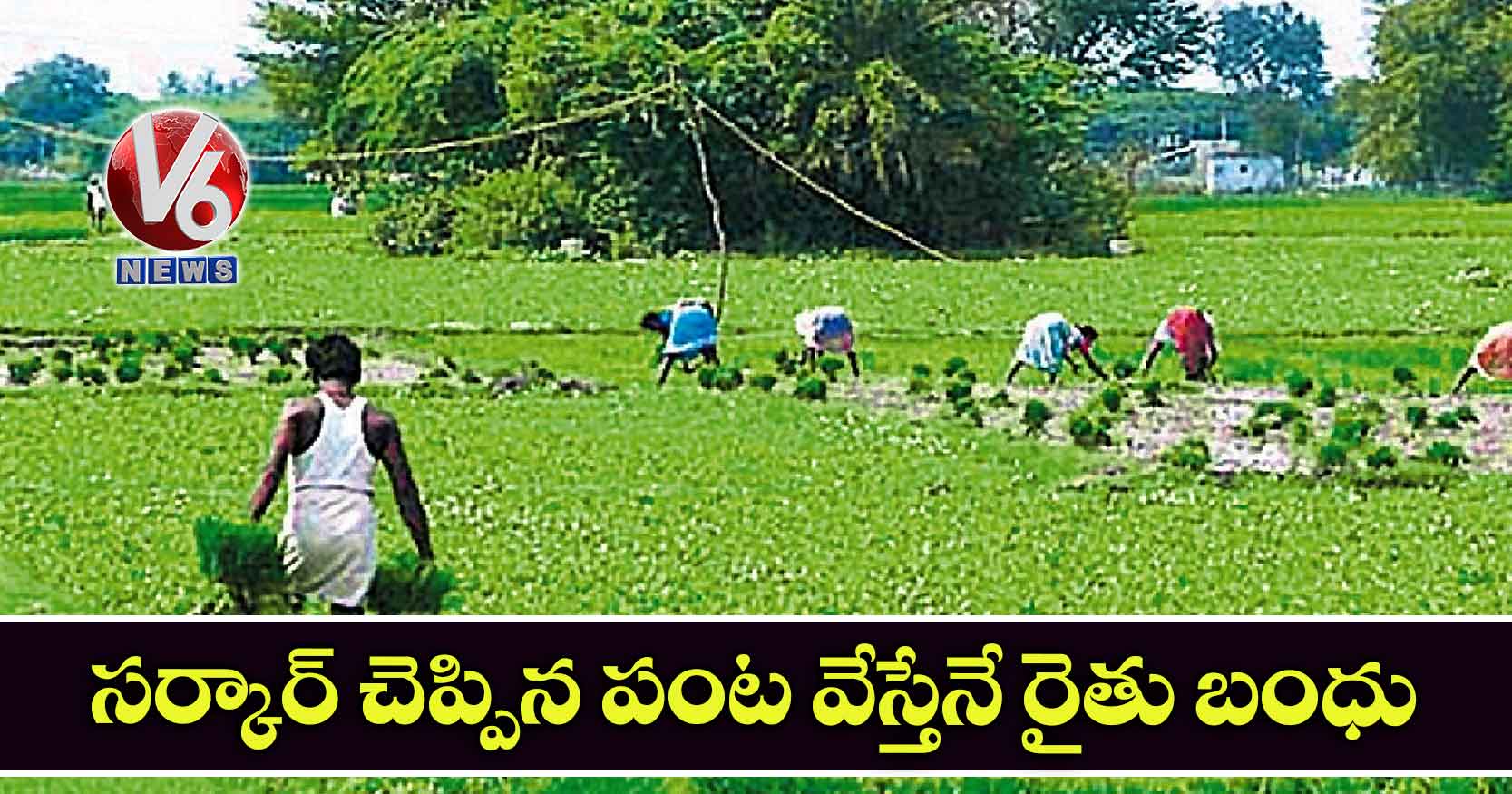 సర్కార్​ చెప్పిన పంట వేస్తేనే రైతు బంధు!