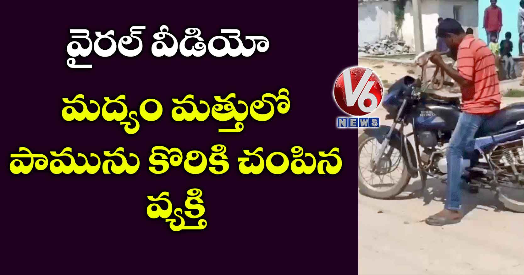 వైరల్ వీడియో: మద్యం మత్తులో పామును కొరికి చంపిన వ్యక్తి