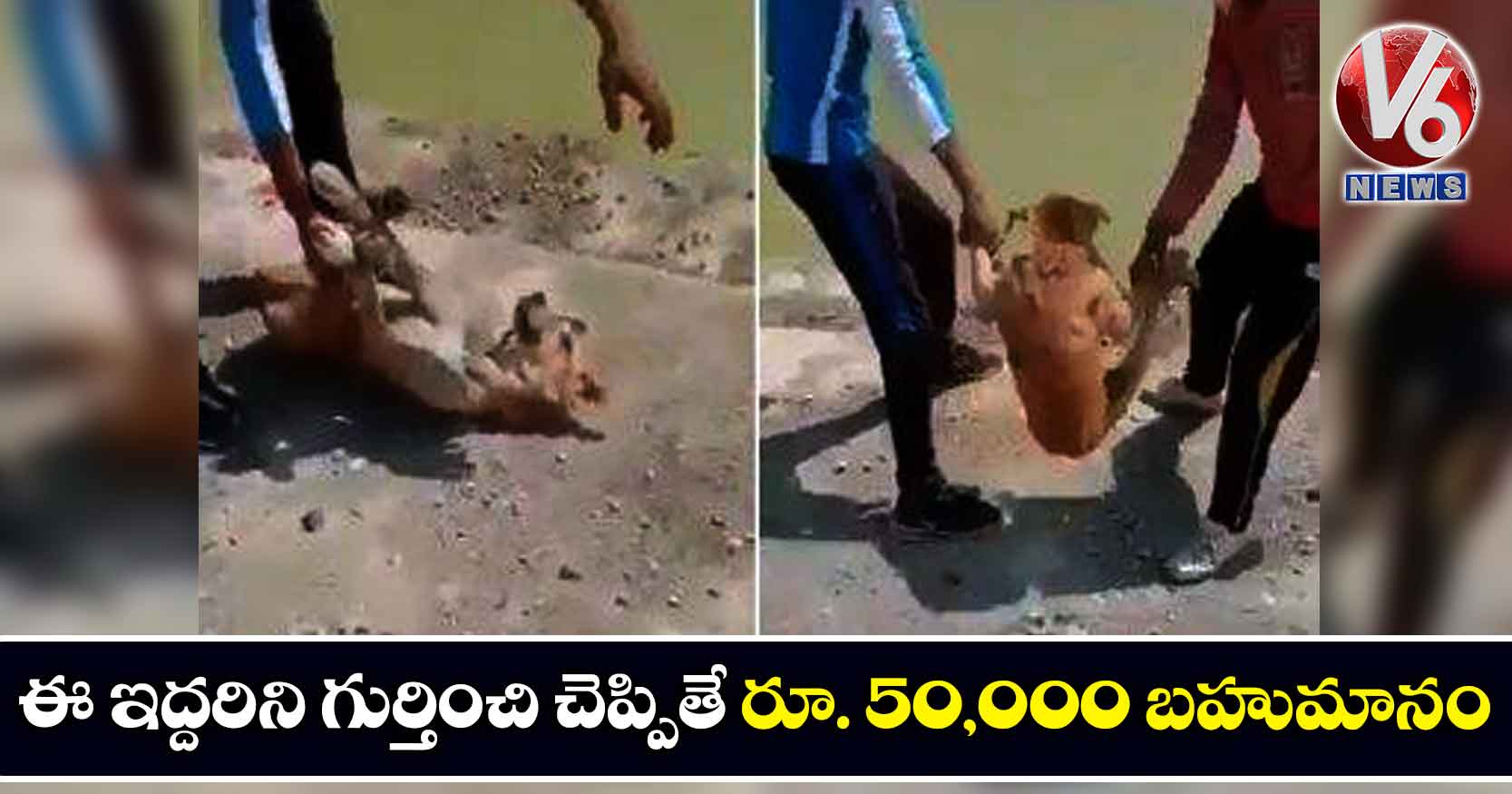 ఈ ఇద్దరిని గుర్తించి చెప్పితే రూ. 50,000 బహుమానం