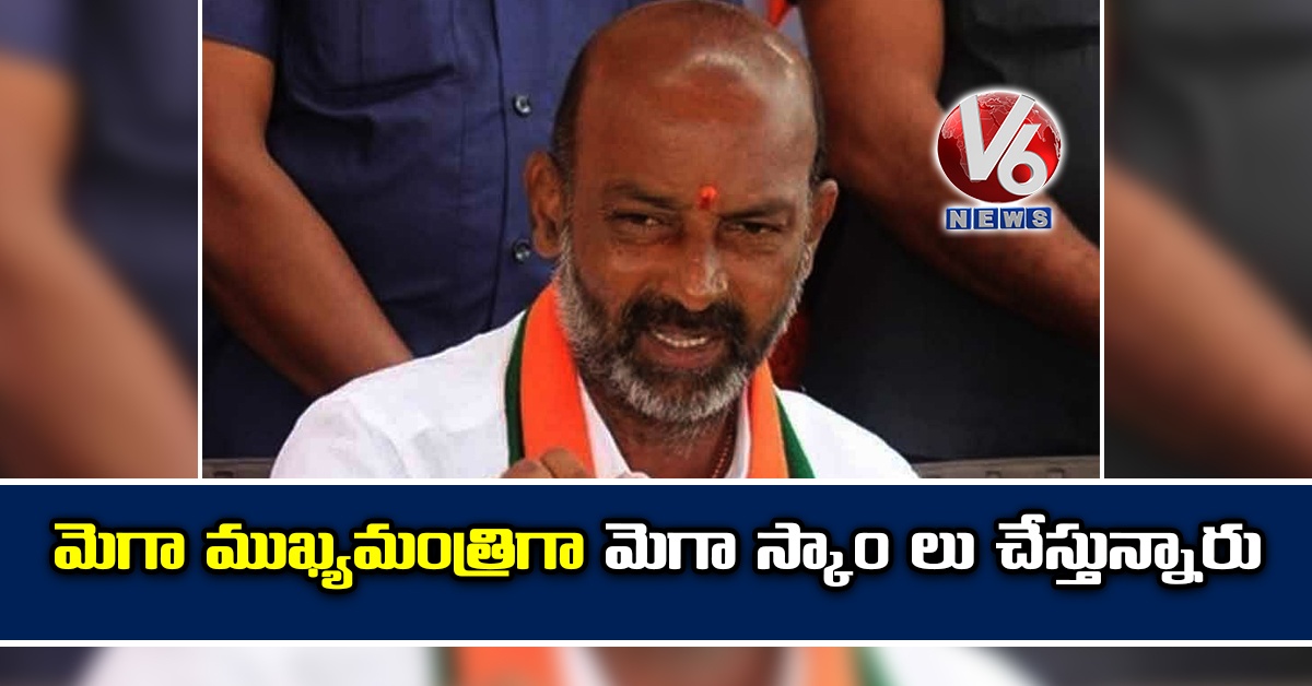మెగా ముఖ్యమంత్రిగా మెగా స్కాం లు చేస్తున్నారు
