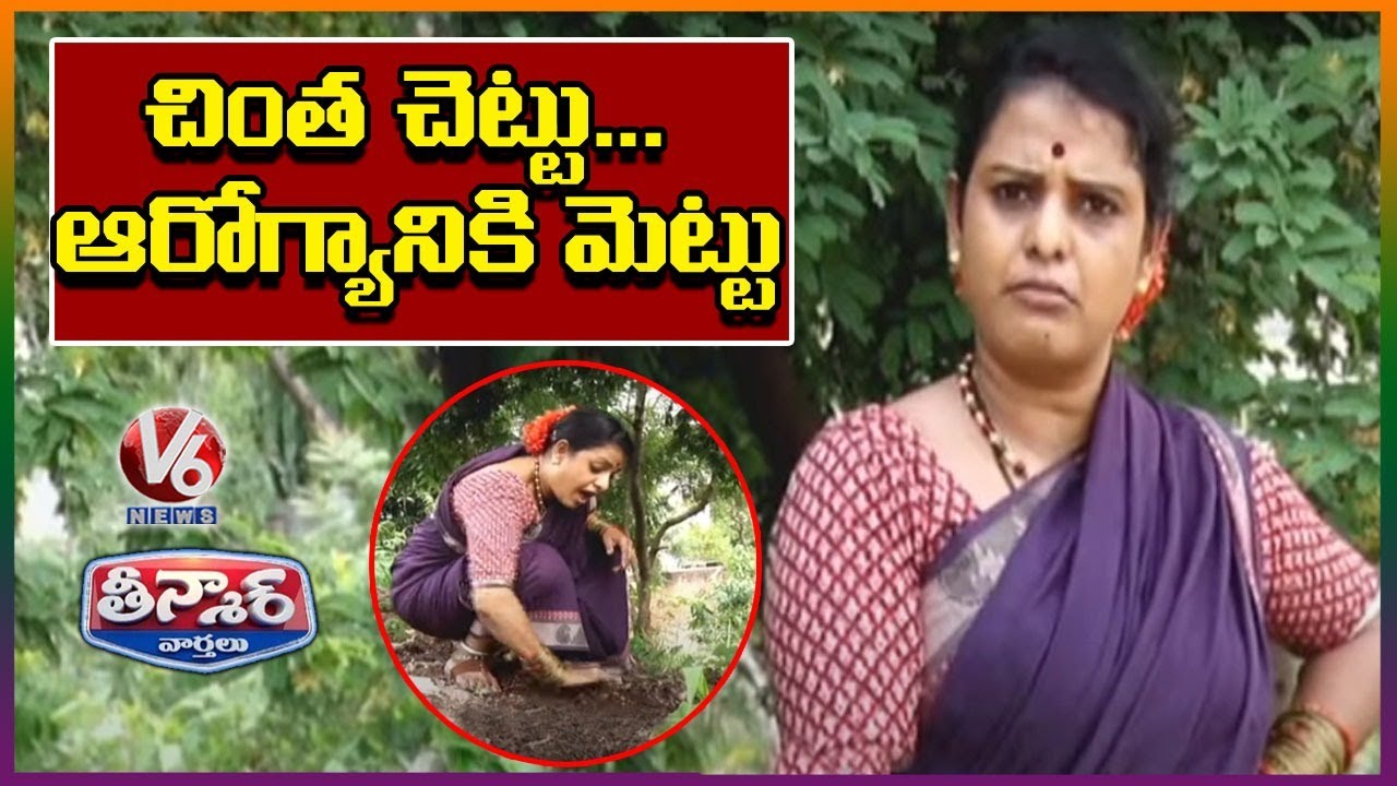 Teenmaar Chandravva Plant Tamarind Seeds | Haritha Haram
