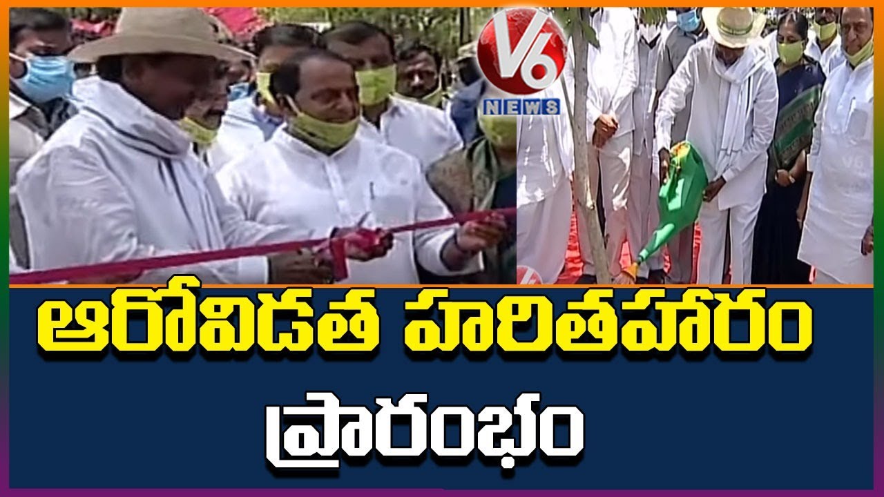 CM KCR Launches 6th Phase Of Haritha Haram
