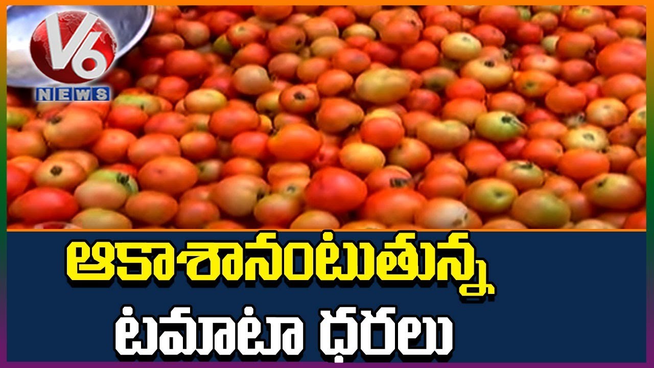 Tomato Price Soars To Rs.50 per Kg In Telangana