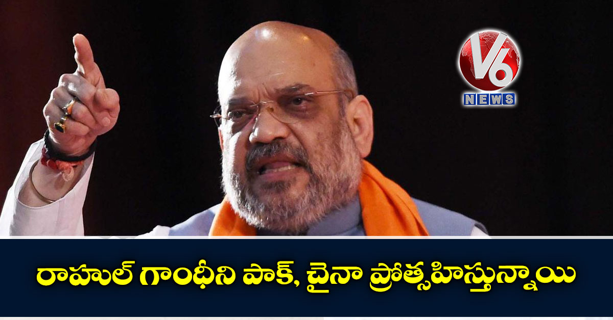 రాహుల్ గాంధీని పాక్, చైనా ప్రోత్సహిస్తున్నాయి: అమిత్ షా