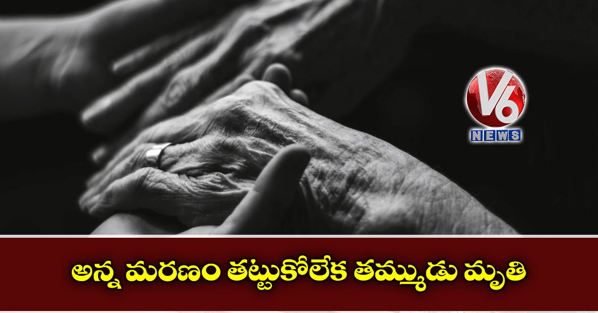 అన్న మ‌ర‌ణం త‌ట్టుకోలేక త‌మ్ముడు మృతి