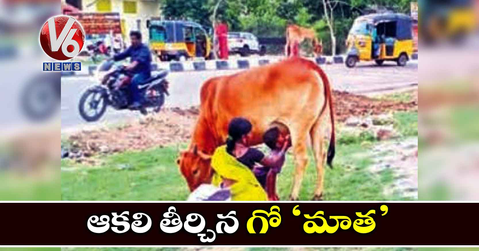 ఆకలి తీర్చిన గో ‘మాత’