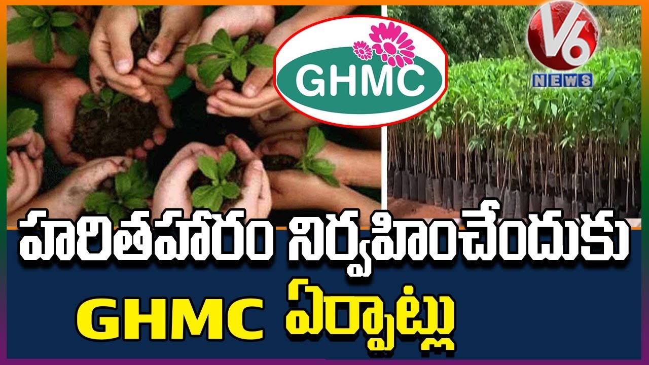 GHMC plant 50 lakh saplings under Haritha Haram