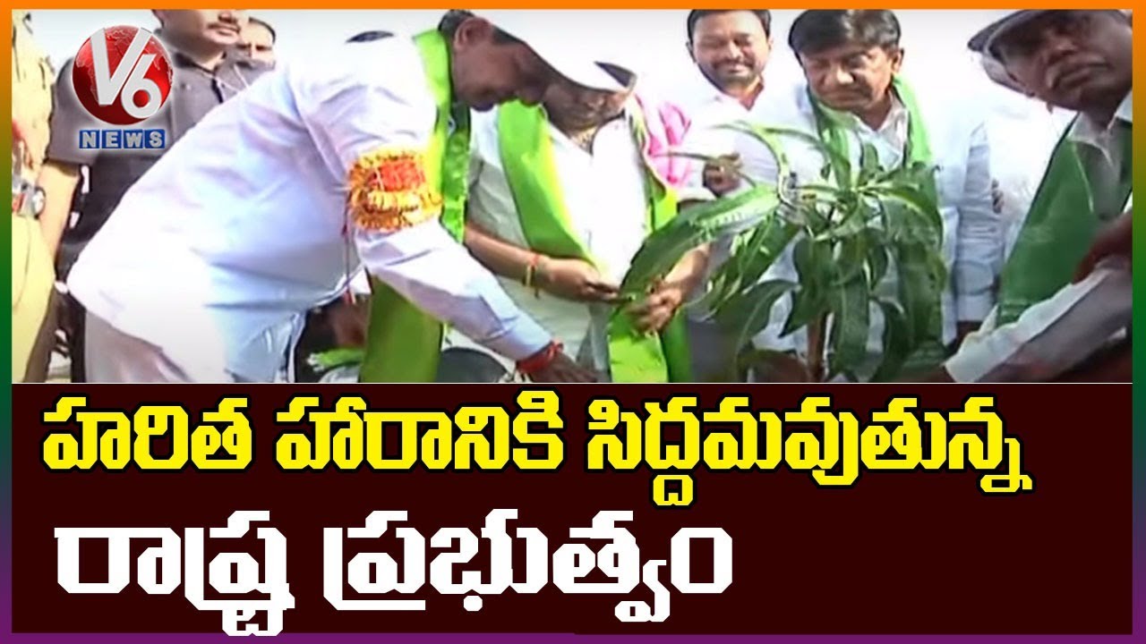 TS Getting Ready For Haritha Haram Program