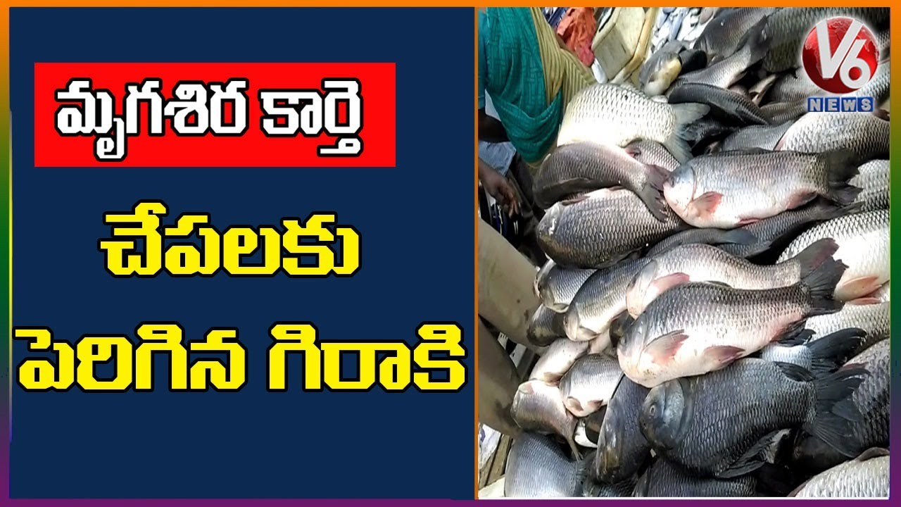 Huge Demand For Fish On Eve Of Mrugashira Karthi