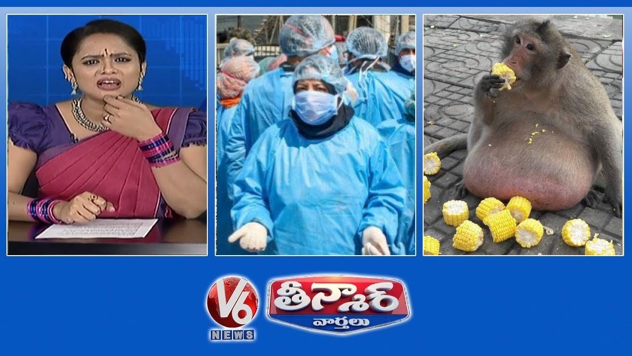 Doctors Tests Corona Positive | Monkeys Addicted To Humans Food | V6 Teenmaar News