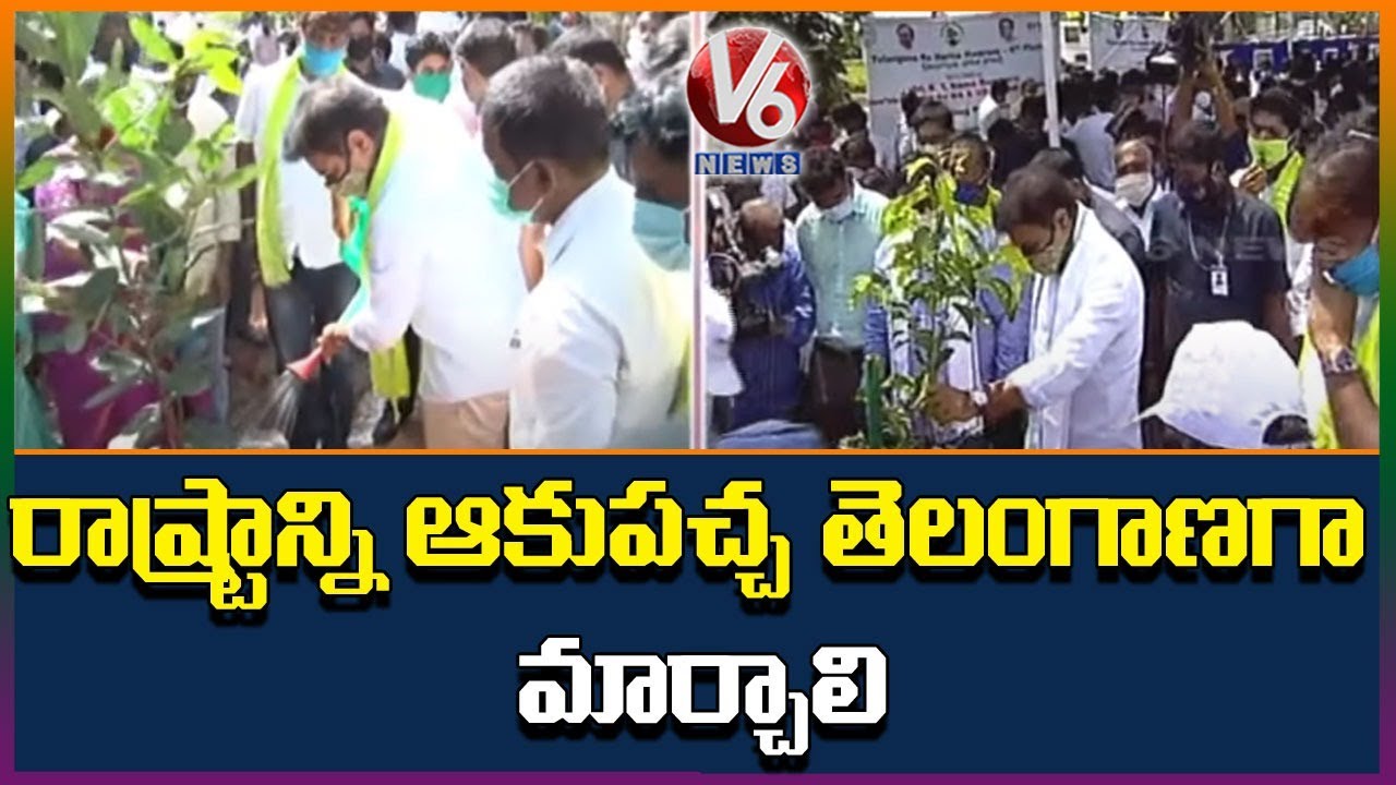 Minister KTR Plants Saplings At Dundigal