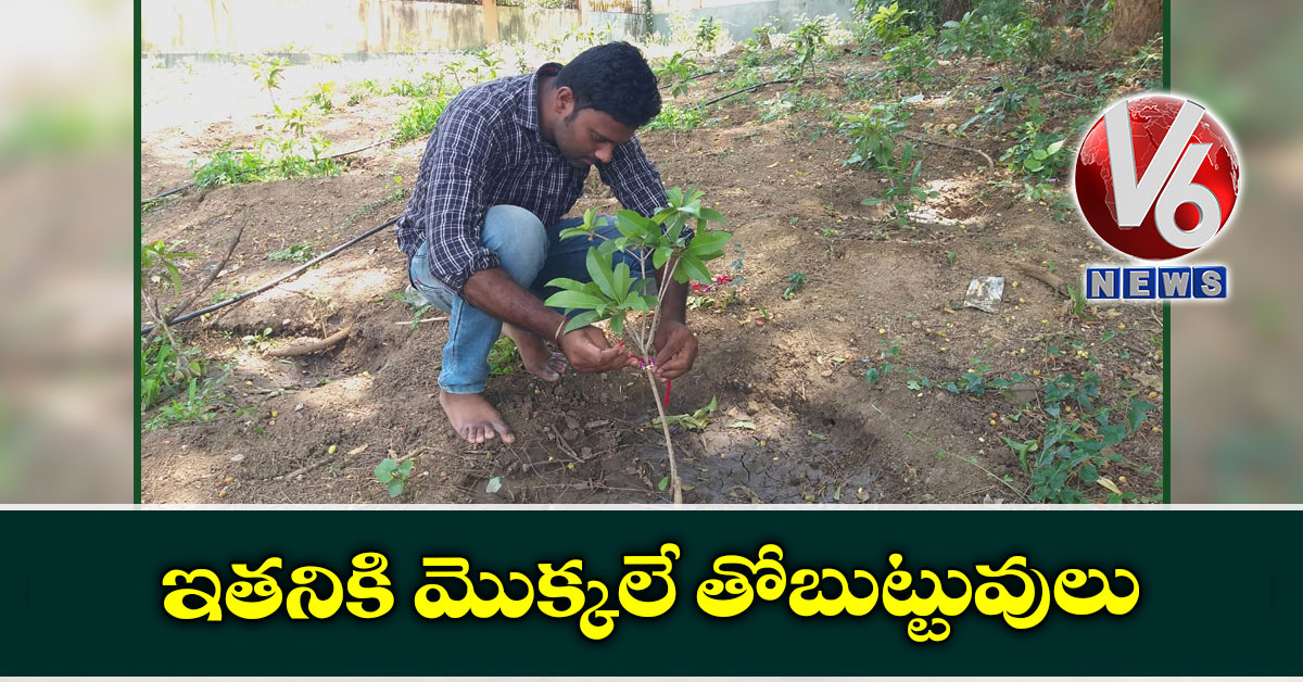 ఇతనికి మొక్కలే తోబుట్టువులు
