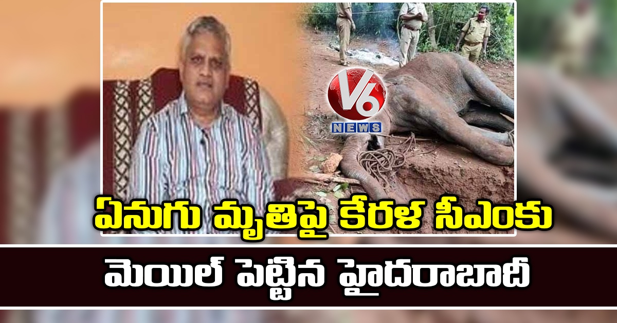 ఏనుగు మృతిపై కేరళ సీఎంకు మెయిల్ ​పెట్టిన హైదరాబాదీ​