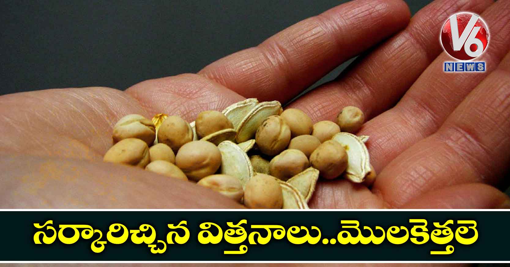 సర్కారిచ్చిన విత్తనాలు..మొలకెత్తలె