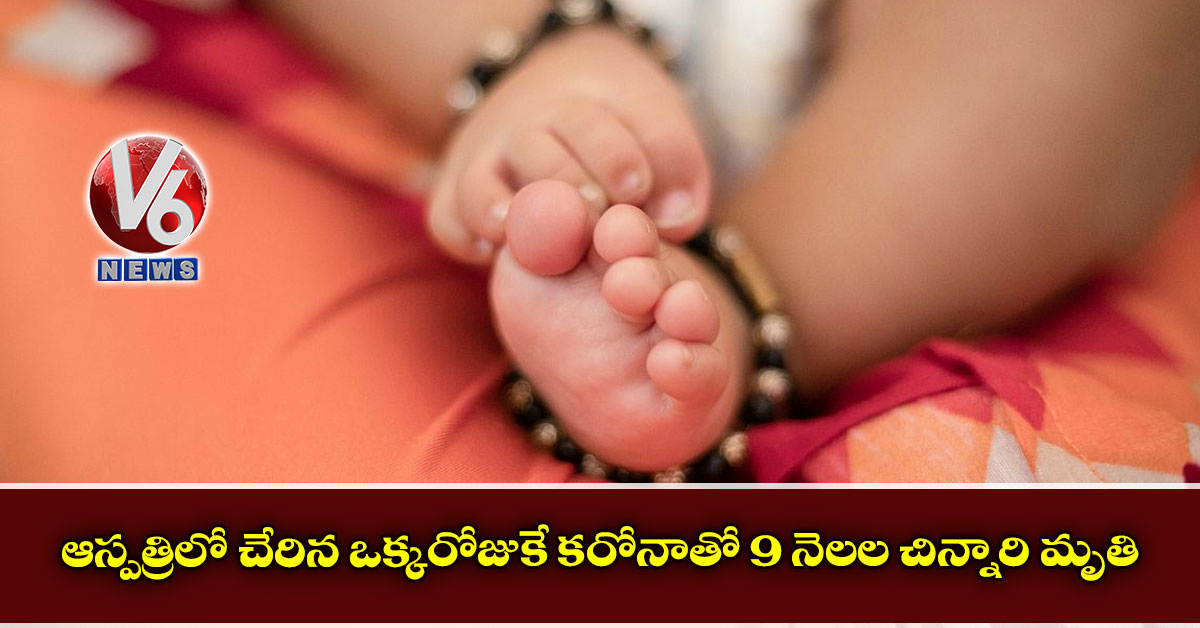 ఆస్పత్రిలో చేరిన ఒక్కరోజుకే కరోనాతో 9 నెలల చిన్నారి మృతి