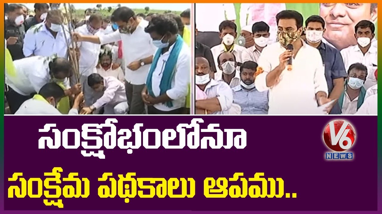 KTR Plant Saplings As Part Of 6th Phase Haritha Haram in Karimnagar