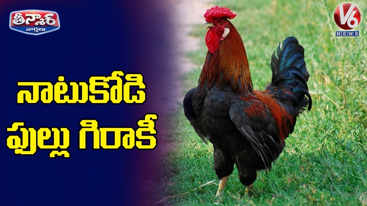 Public Queue For Desi Chicken, Cost 600/- Per Kg