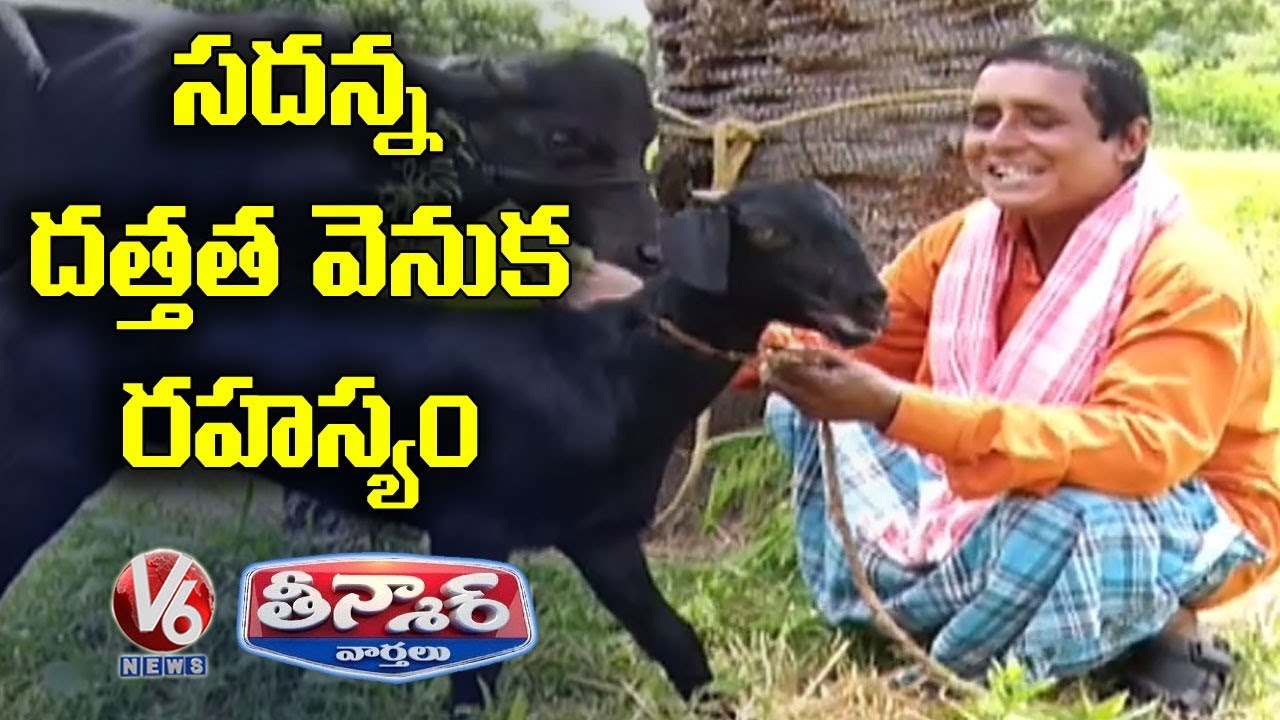 Teenmaar Sadanna Adopts Goats | Upasana Konidela Adopt Elephat
