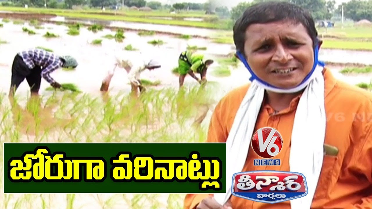 Teenmaar Sadanna Conversation With Radha Over Paddy Cultivation