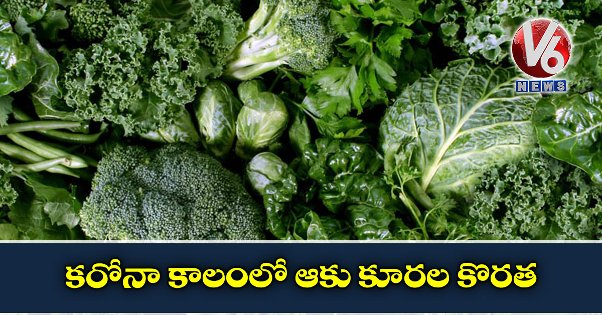 కరోనా కాలంలో ఆకు కూరల కొరత