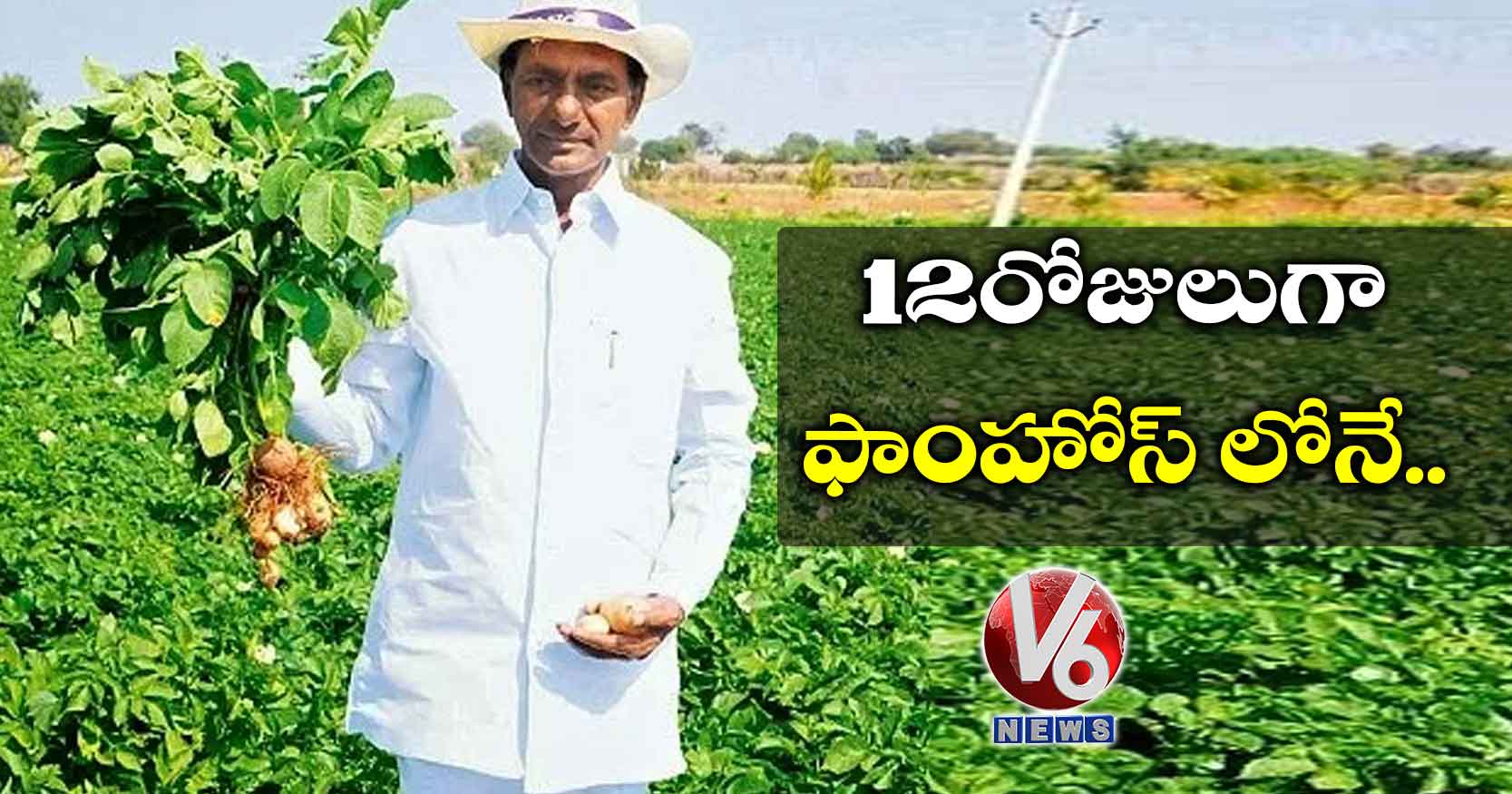 12 రోజులుగా ఫాంహోస్ లోనే..