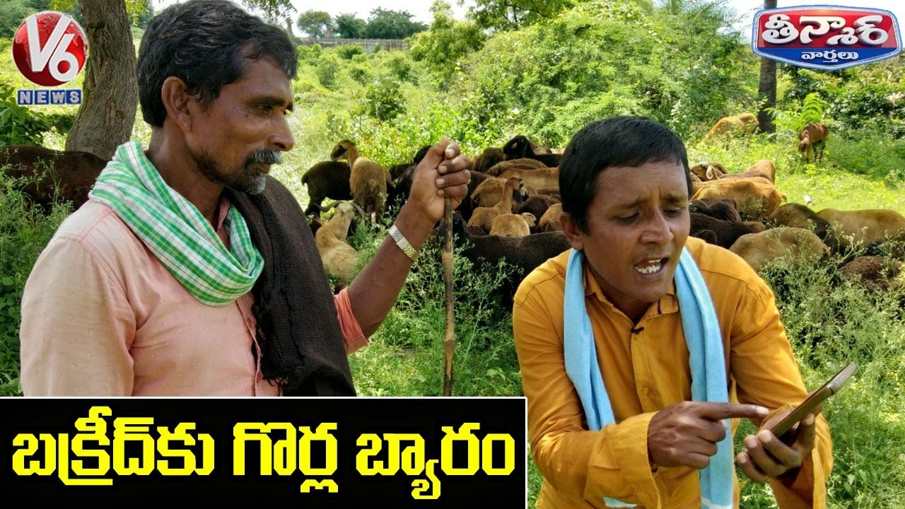 Teenmaar Sadanna Buy Goats On Occasion Of Bakrid | V6 News