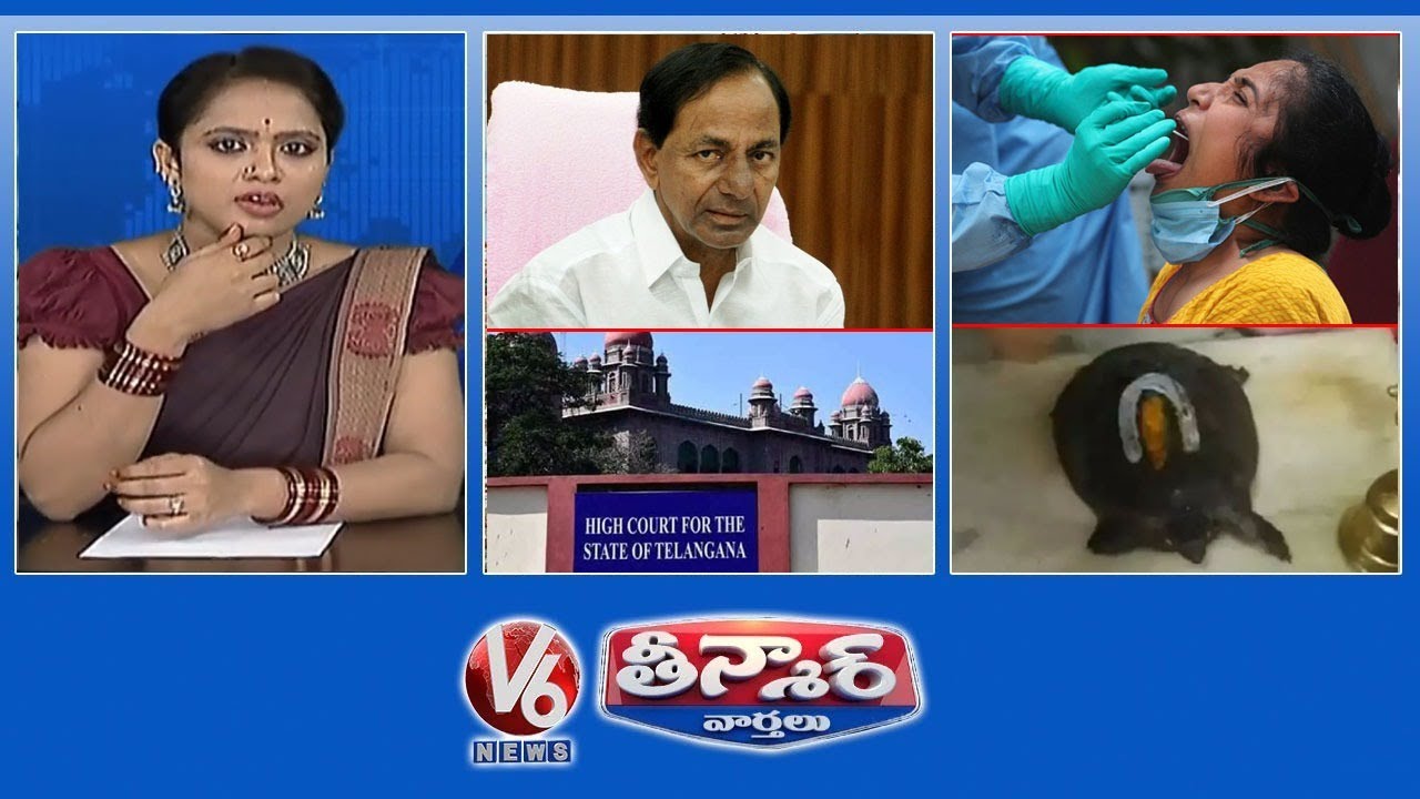 HC Serious On TS Govt | Tortoise in Chilkur Balaji Temple |Corona Patients Flash Mob | V6 Teenmaar