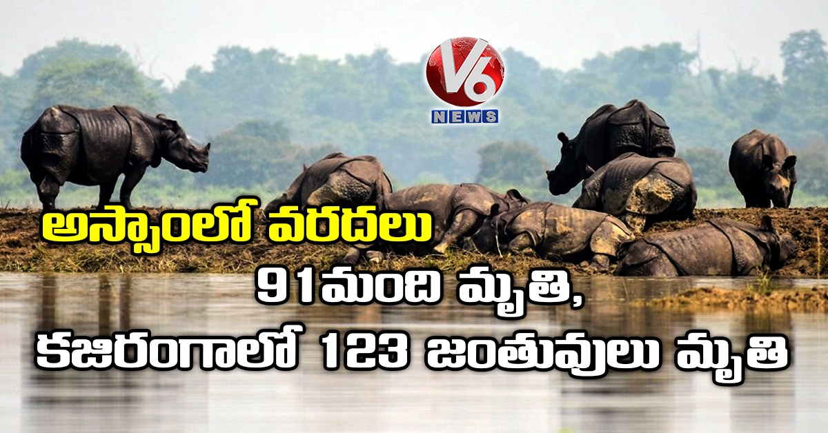 అస్సాంలో వరదలు: 91 మంది మృతి, కజిరంగాలో 123 జంతువులు మృతి