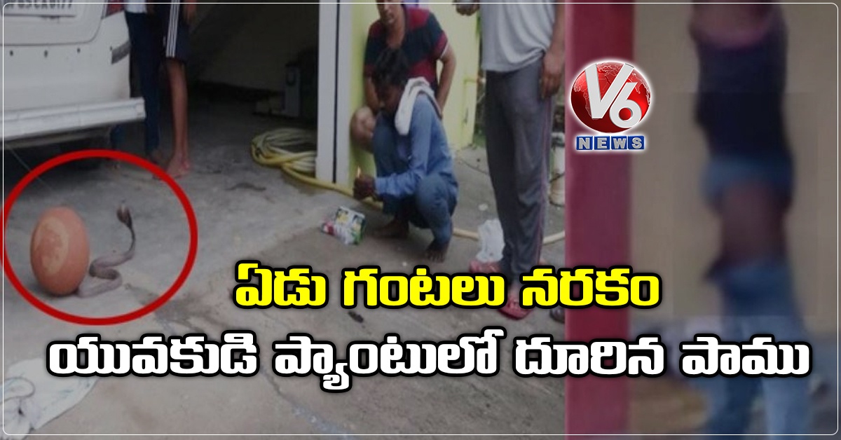 ఏడు గంటలు నరకం : యువకుడి ప్యాంటులో దూరిన పాము