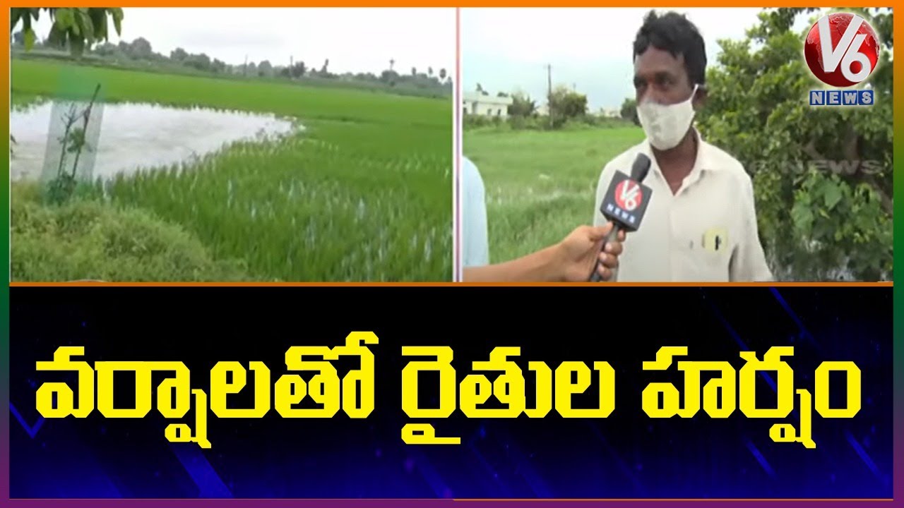 Farmers Express Happiness Over Rains In Nizamabad