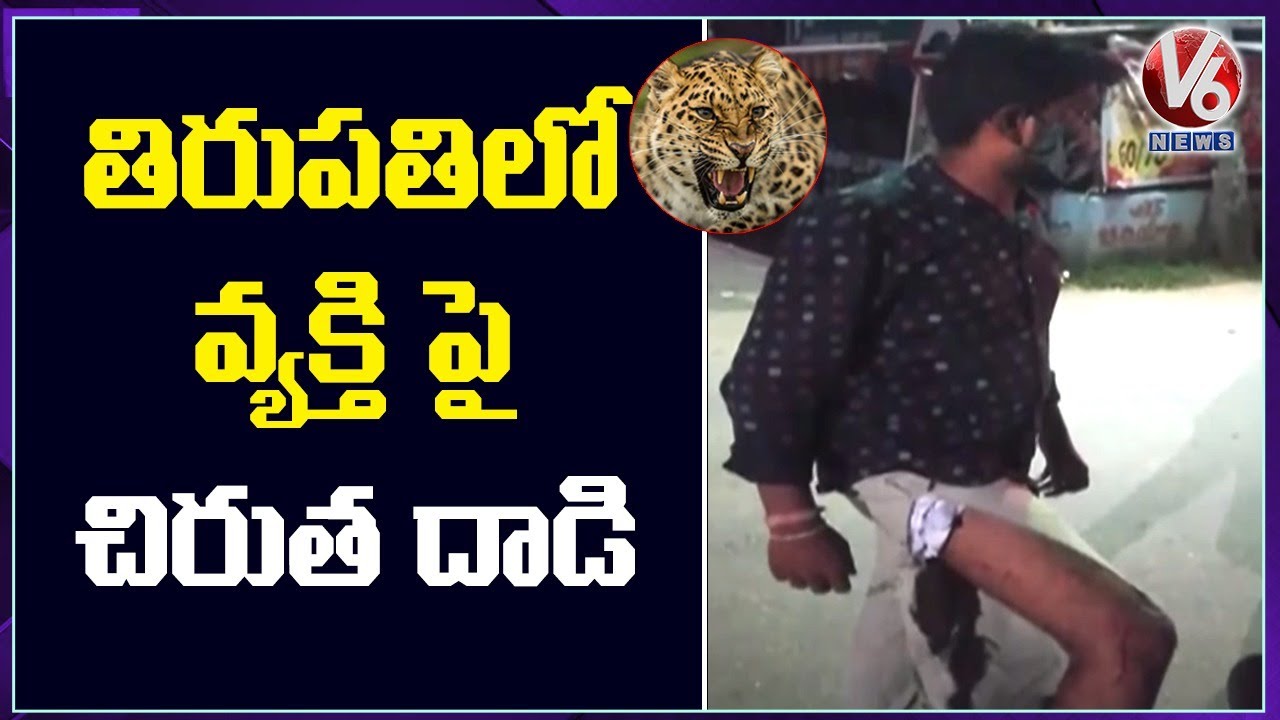 Man Injured In Leopard Attack | Tirupati | V6 News